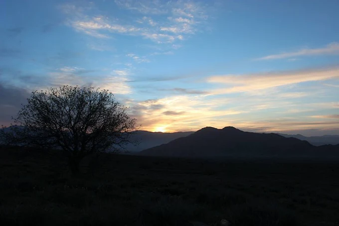 Hazarganji-Chiltan National Park image 5